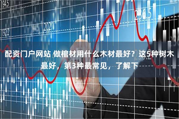 配资门户网站 做棺材用什么木材最好？这5种树木最好，第3种最常见，了解下